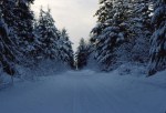 Tow hill Road snow 